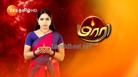 Zee Tv Logo & Transparent Zee Tv.PNG Logo Images